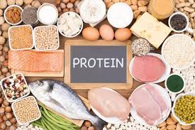 high protein diet