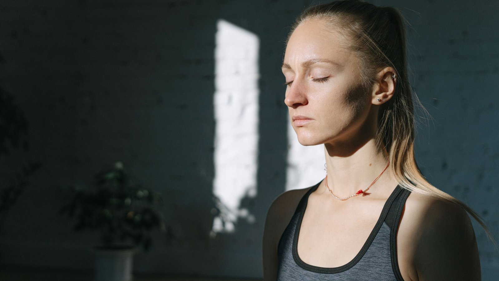 Visual representation of the mind-body connection — the vagus nerve is the primary highway between brain and gut.